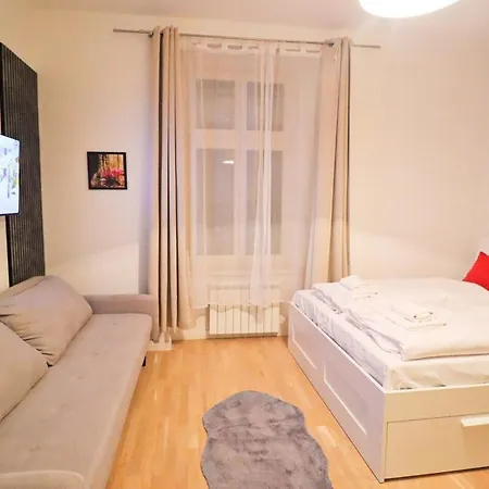 Apartment Spacious In The Center Of Prague